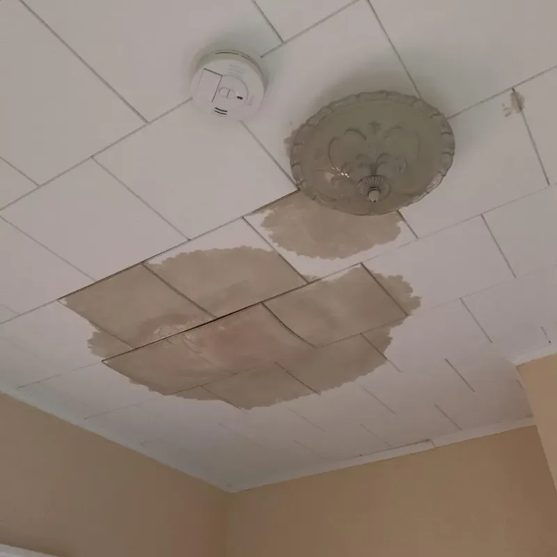 Ceiling Water Damage Repair in Ellsworth, WI