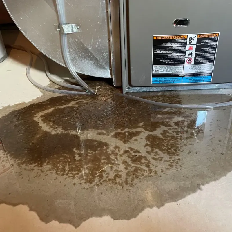 Pipe Burst and Leak Restoration in Ellsworth, WI